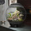 Biorb biOrb AIR 60 Litre Automatic Terrarium in Grey with LED Lighting 5