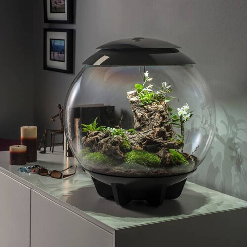 Biorb biOrb AIR 60 Litre Automatic Terrarium in Grey with LED Lighting 1
