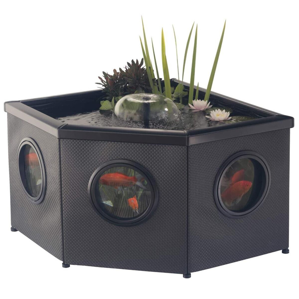 Blagdon Affinity Mocha Corner Weave Pool, Comes with Inpond 5-in-1 3000 Filter Pump with UV Clarifier, LED Spotlight