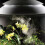 Biorb biOrb AIR 60 Litre Automatic Terrarium in White with LED Lighting 5