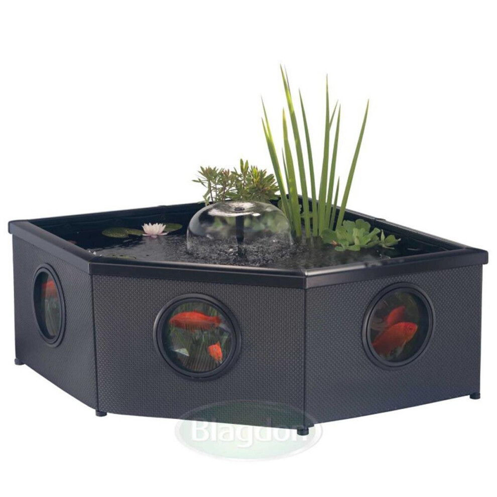 Blagdon Affinity Grand Corner Living Water Feature Pool, Comes with Inpond 5-in-1 3000 Filter Pump with UV Clarifier, LED Sotlight