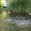 Blagdon Blagdon Pond Oxygenator Kit for Medium Ponds Up to 4000 Litre 4