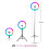 Rio Studio RGB Beauty Ring Light 12