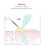 Rio Ultrasonic Facial 11