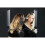 Rio Professional Twin LED Strip Lights 4