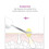 Rio Ultrasonic Facial 12