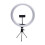 Rio Studio RGB Beauty Ring Light 7