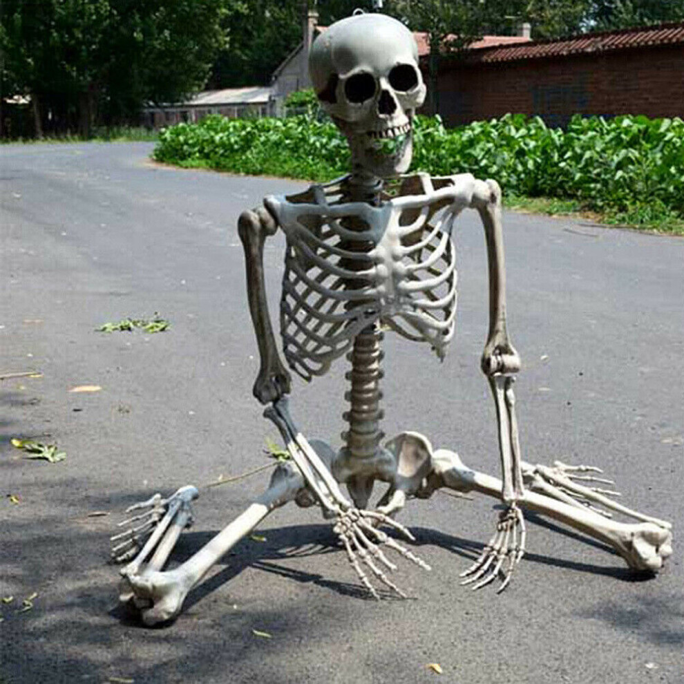 170cm Giant Life Size Human Skeleton Model Horror Bone Posable Halloween Decor