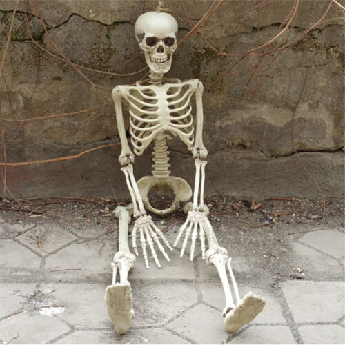 Living And Home 170cm Giant Life Size Human Skeleton Model Horror Bone Posable Halloween Decor 2