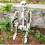 Living And Home 170cm Giant Life Size Human Skeleton Model Horror Bone Posable Halloween Decor 2