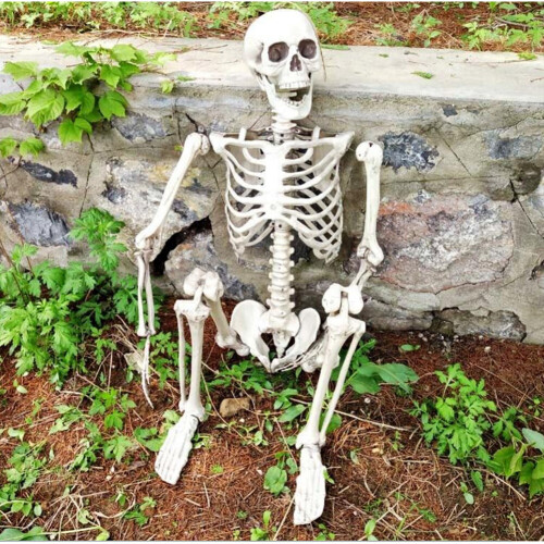 Living And Home 170cm Giant Life Size Human Skeleton Model Horror Bone Posable Halloween Decor 1