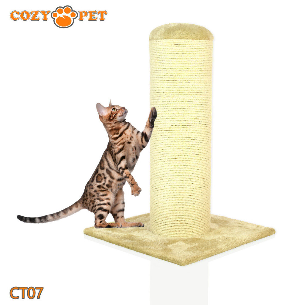 Cat Scratching Post By Cozy Pet Sisal Kitten Cat Trees - CT07-Beige