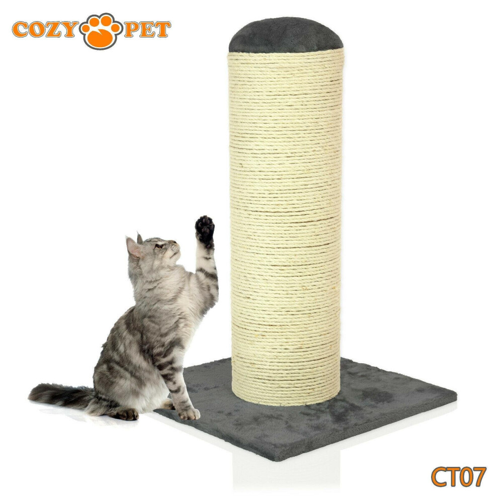 Cat Scratching Post By Cozy Pet Cat Tree Sisal Kitten Cat Trees CT07-Dark Grey