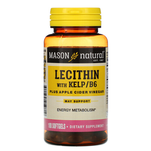 Mason Natural, Lecithin mit Kelp/B6 plus Apfelessig, 100 Weichkapseln