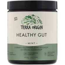Terra Origin, Intestin Sain, Menthe, 7,83 oz (222 g)