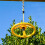 Rebo Rebo Ninja Line Garden Slackline Training Obstacle Course - 14FT Line 5