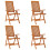 VidaXL (4) vidaXL 2/4/6/8x Solid Wood Eucalyptus Folding Garden Chairs Foldable Chair 1