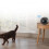 Mini Motion Sensor Full HD Security Camera 10