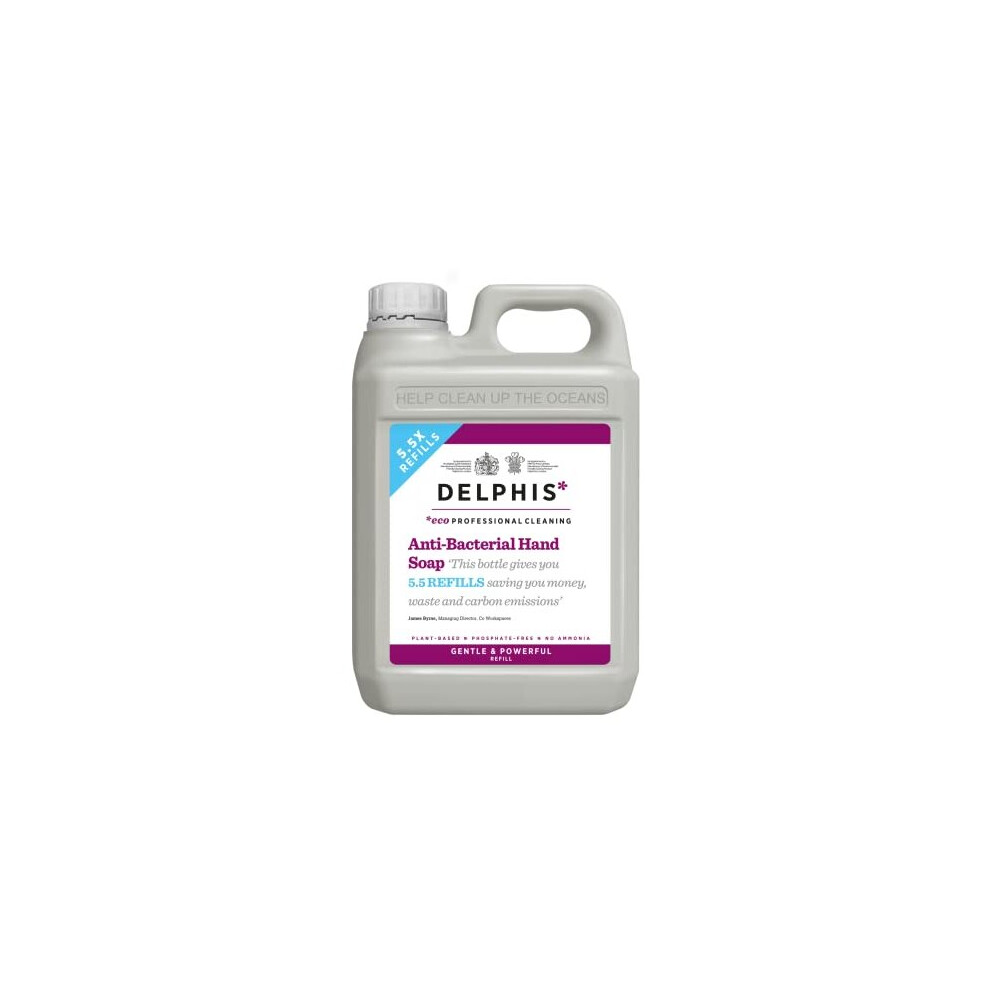Delphiseco Delphis Eco Anti-Bacterial Hand Soap Wash - Plant-Based, Vegan Hand Soap, Free From Phosphates, Dyes And Formaldehyde, Eco Friendly And Sustainable, 2