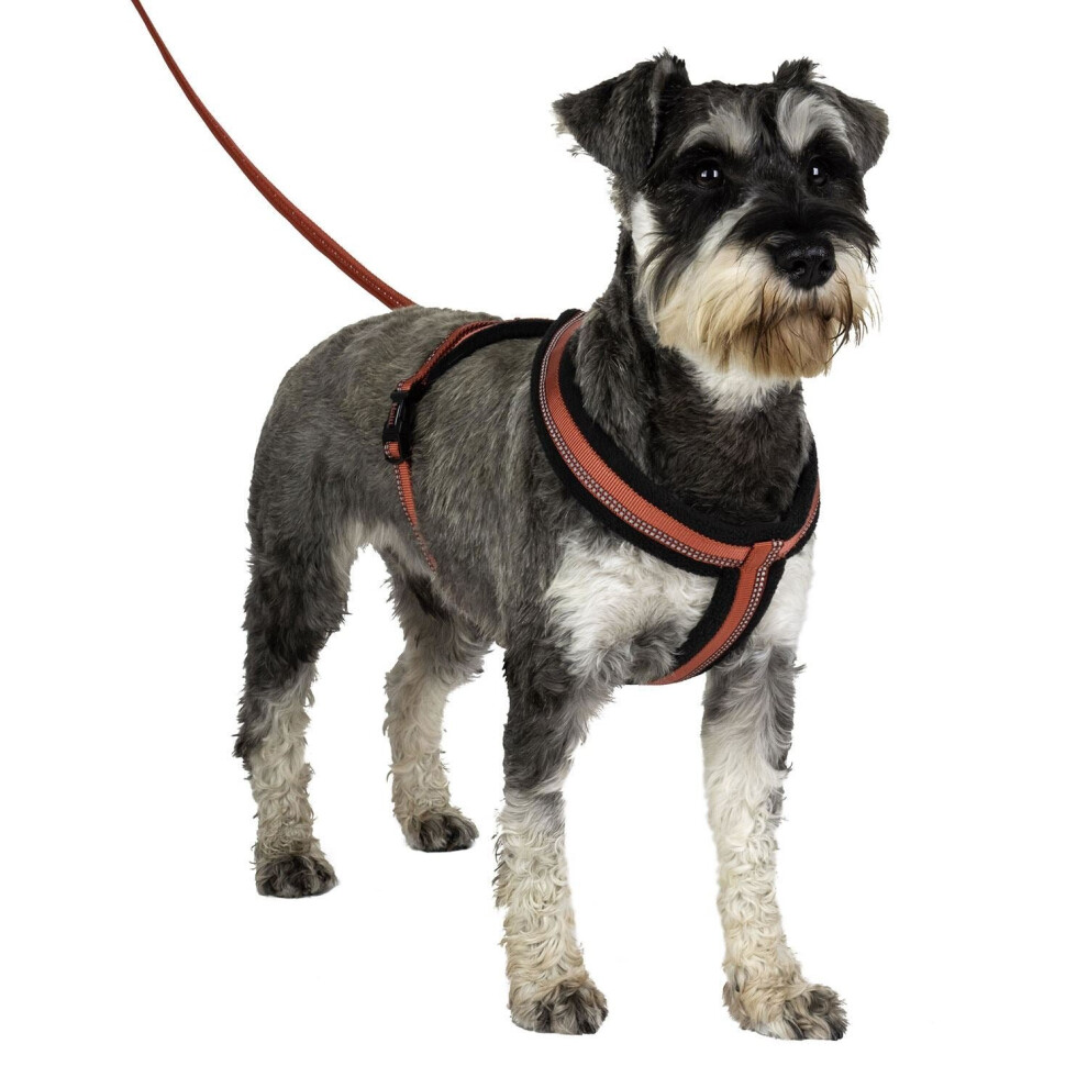 (Red, Medium) Halti Comfy Harness