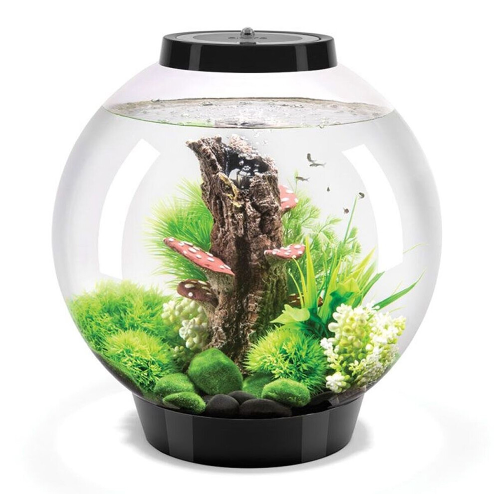 BiOrb Classic 30L Aquarium in Black with MCR LED Lighting