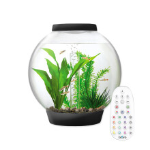 Baby biOrb 15L Aquarium in Black with MCR LED Lighting (72002) - 360 Degree View, Biological Filtration & Air Pump