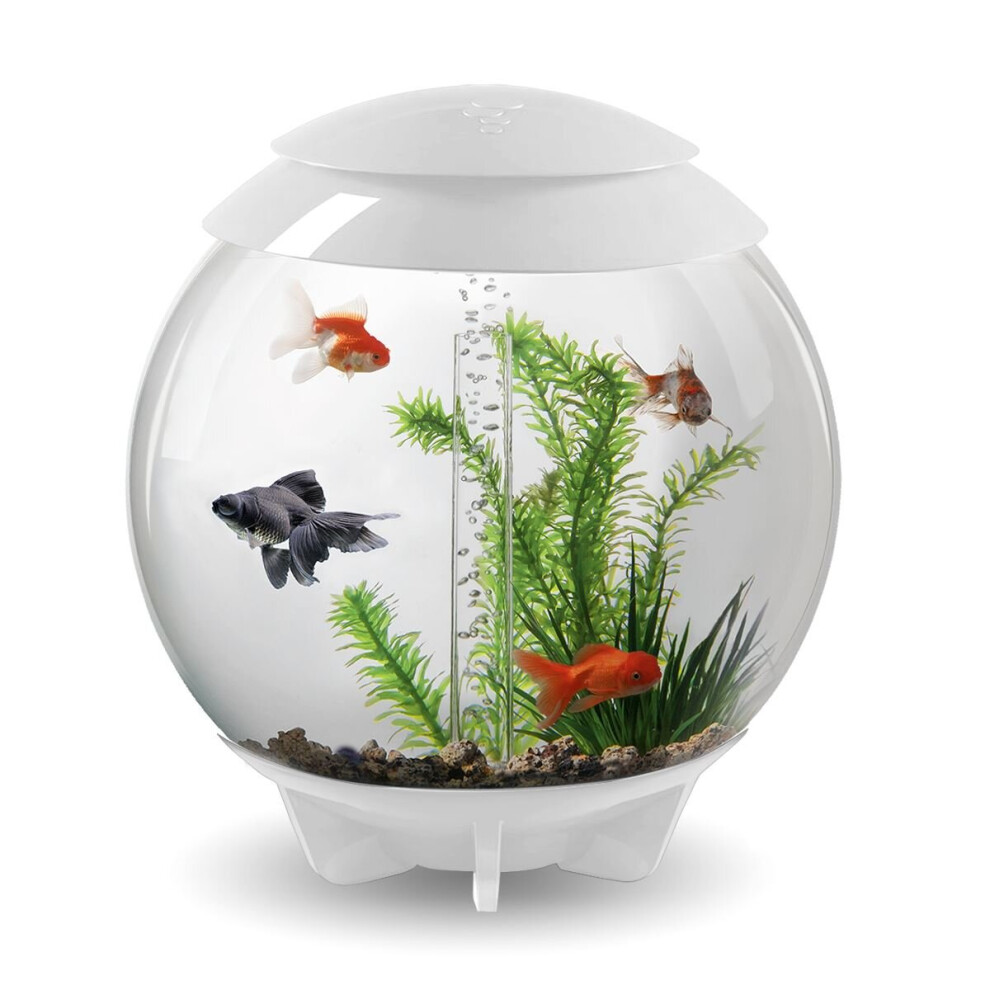 BiOrb Halo 30L Aquarium in White with MCR LED Lighting