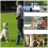 Pet Dog Training Collar 800m Waterproof Rechargeable Electric Display 5