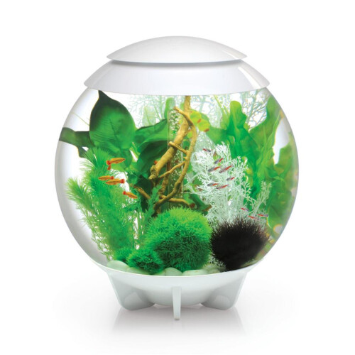 Biorb BiOrb Halo 60L Aquarium in White with MCR LED Lighting 1