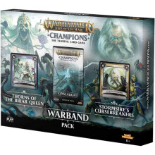 PlayFusion Warhammer Age of Sigmar: Champions Warband Collectors Pack