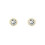 Ted Baker Ted Baker Sinaa Crystal Stud Earrings - Gold Tone with Sparkling Crystals 2