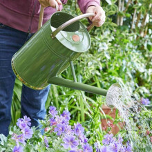 Smart Garden Watering Can 9L - Sage Green