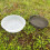 Selections Water Dish & Mesh Seed Dish Set for Bird Feeding Stations 3
