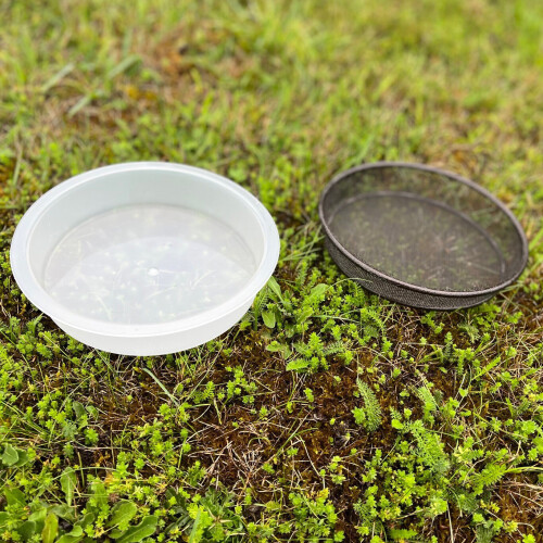 Selections Water Dish & Mesh Seed Dish Set for Bird Feeding Stations 2