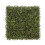 50cm x 50cm Boxwood Topiary Mat Hedging Panel 1