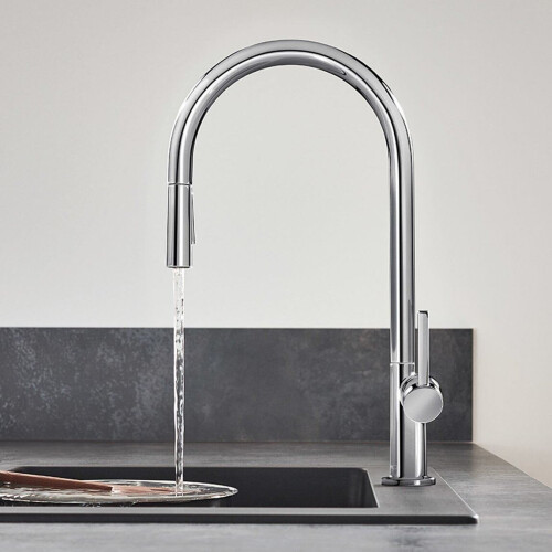Hansgrohe Hansgrohe Talis M54 Kitchen Mixer Tap Single Lever Modern Chrome Pull Out Spout 1