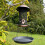 Selections Large Bird Feeder Seed Catcher Tray (Set of 2) 4