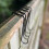 Selections 15cm Bracket Garden Fence Panel Hooks (Set of 6) 3