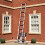 (3.2m) BPS Telescopic Ladder 1