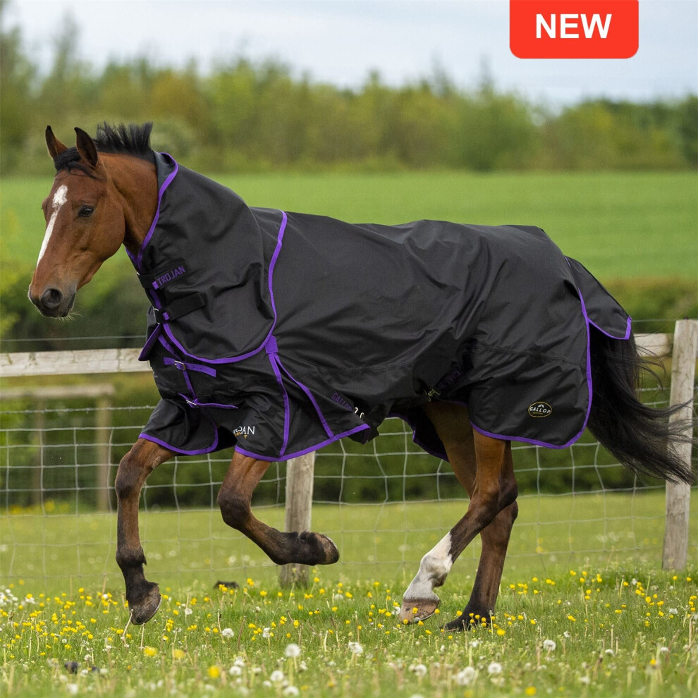 (Black/Purple, 5ft 9) Gallop Equestrian Trojan Dual Lightweight Turnout Rug & Neck Set