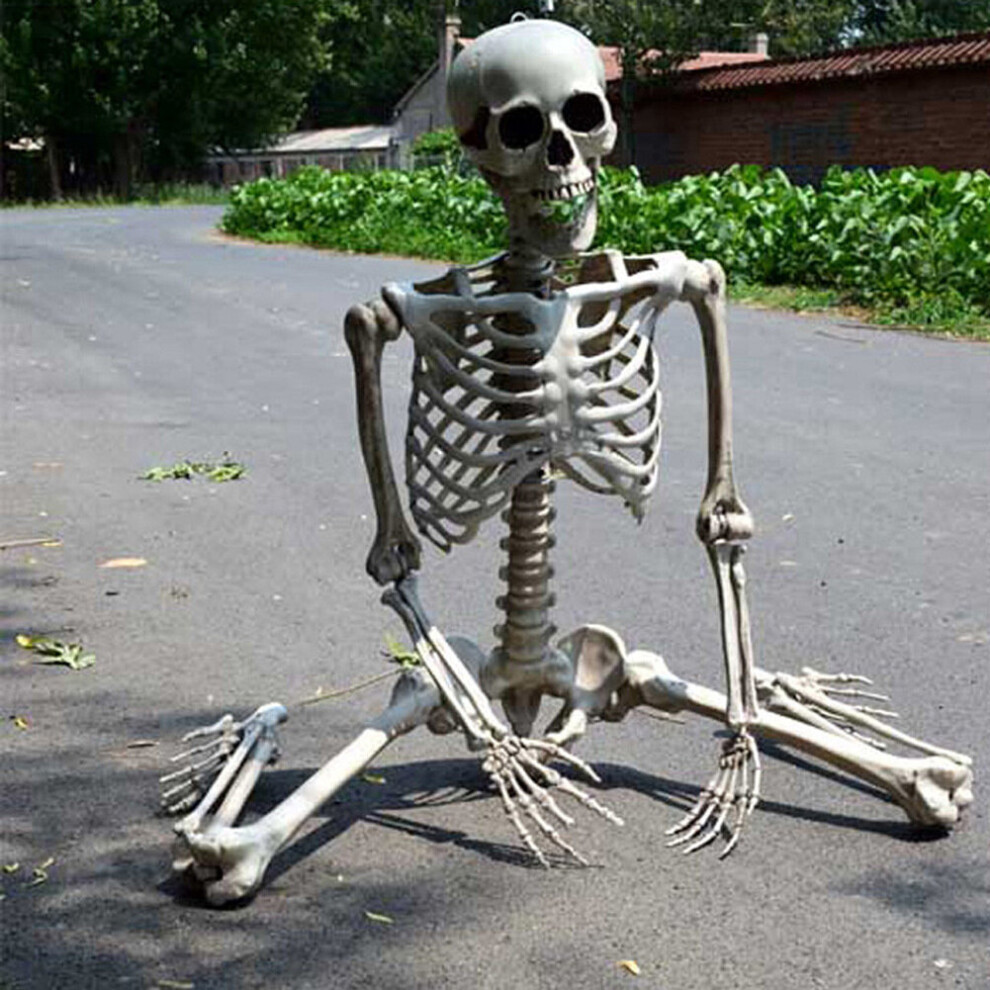 (160cm) Full Size Poseable Human Prop Skeleton Party Haunted House Decorations Halloween