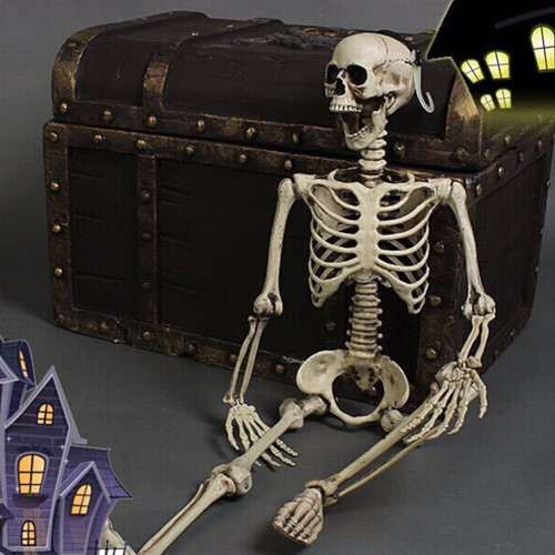 Living And Home (160cm) Full Size Poseable Human Prop Skeleton Party Haunted House Decorations Halloween 1