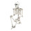 Living And Home (160cm) Full Size Poseable Human Prop Skeleton Party Haunted House Decorations Halloween 3