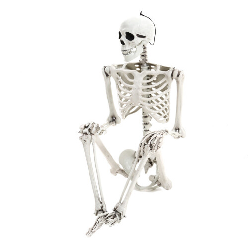 Living And Home (160cm) Full Size Poseable Human Prop Skeleton Party Haunted House Decorations Halloween 2