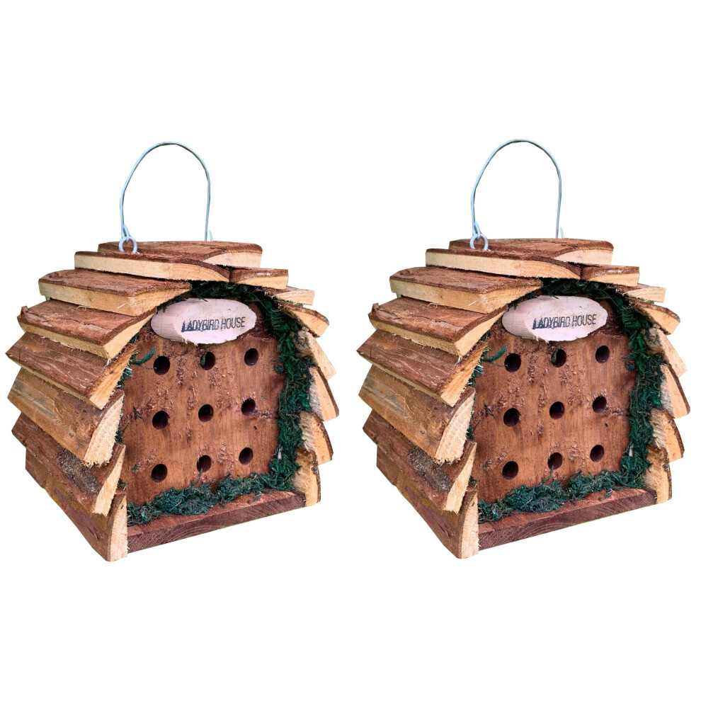 Selections Wooden Hanging Ladybird Insect House (Set Of 2)