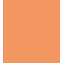 (Small Double 4FT(48"), Orange) Long Premium Bolster Body Pillowcase by AmigoZone