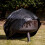 Dellonda Fire Pit, PVC Cover, Water Resistant, Heavy Duty with Drawstrings for DG117 3