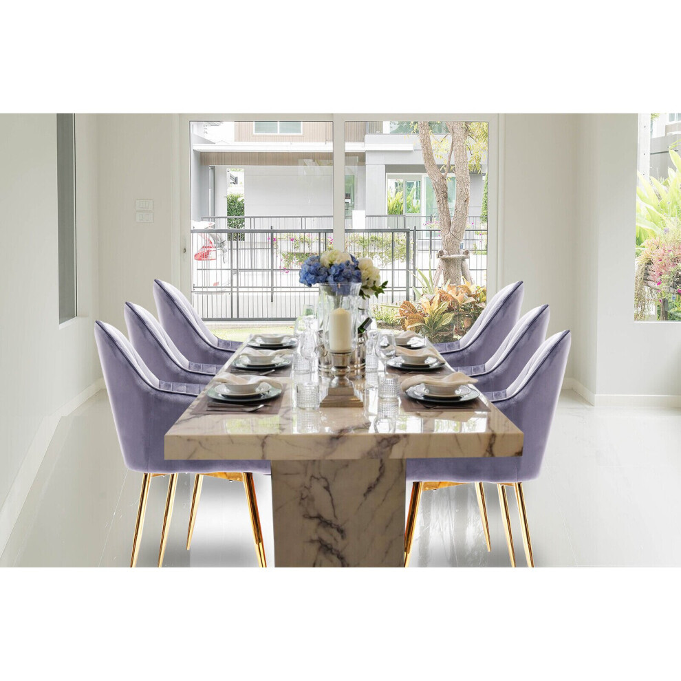 Hygrad Built To Survive (Grey, 1 Chair ) Velvet Dining Room Chairs Soft Padded Home Chairs