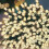 Premier 200 LED Christmas Tree Timer Lights Multi Action Bright Warm White 16M 2