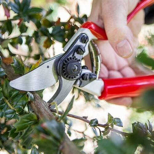 Darlac Expert Rotating Handle Pruner DP1031 2